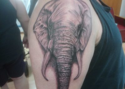 Elephant-1-400x284